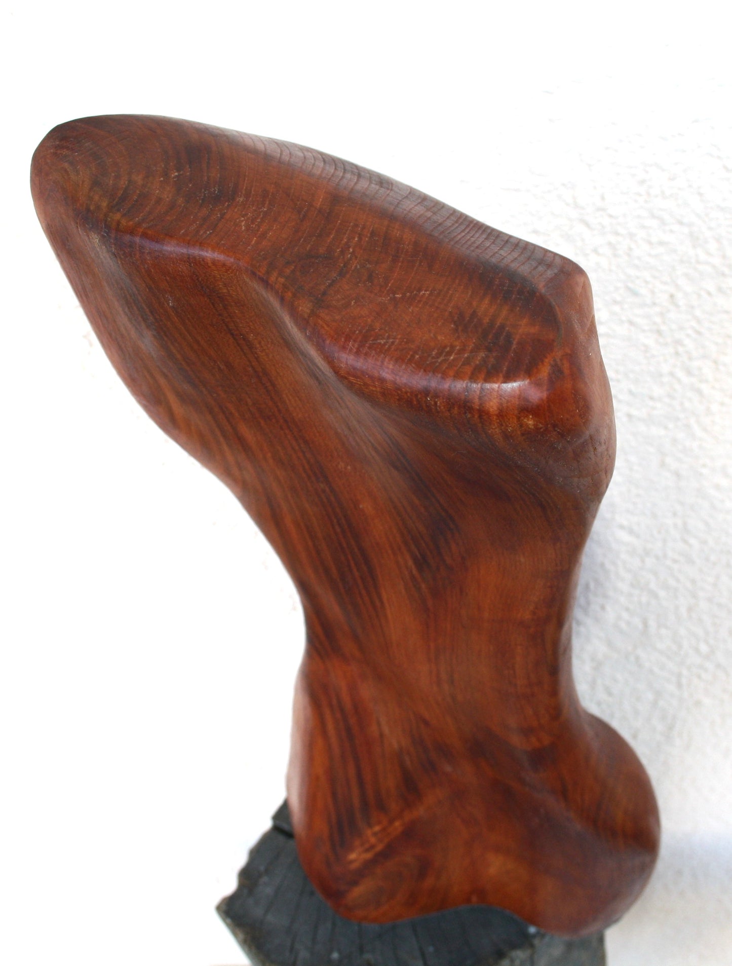 Female body. Optical illusion. Shapeshifter. An abstract figure made of American walnut. Living room decor. Wooden decoration. Wood art.