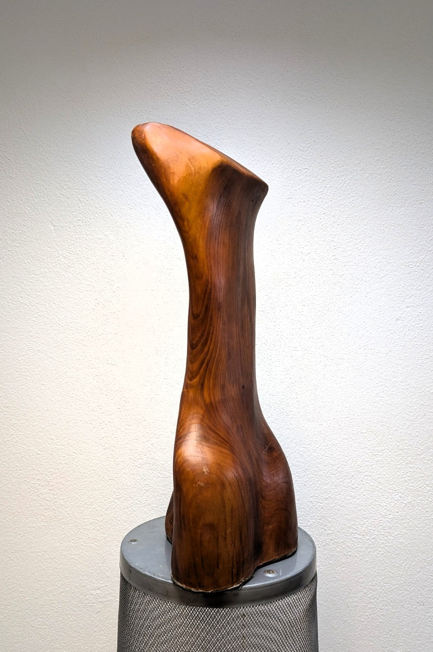 Female body. Optical illusion. Shapeshifter. An abstract figure made of American walnut. Living room decor. Wooden decoration. Wood art.