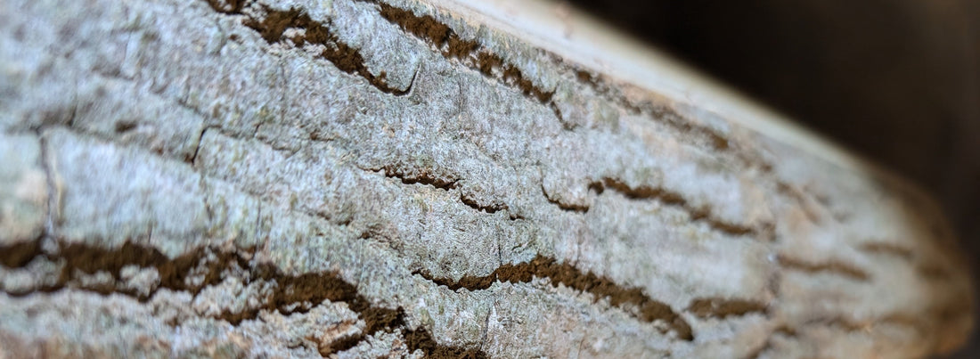 Holzkunst? Ja oder nein?