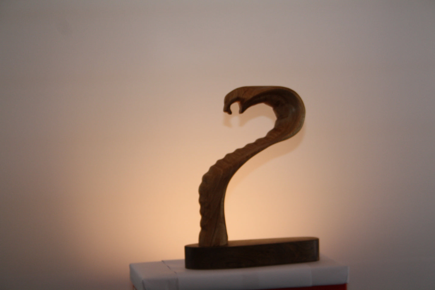 Kobra. Eine abstrakte Figur aus Holz. Holzskulptur,  Skulpturen aus Holz, Wohnzimmer Dekor aus Holz,  Dekoration aus Holz, Holzkunst