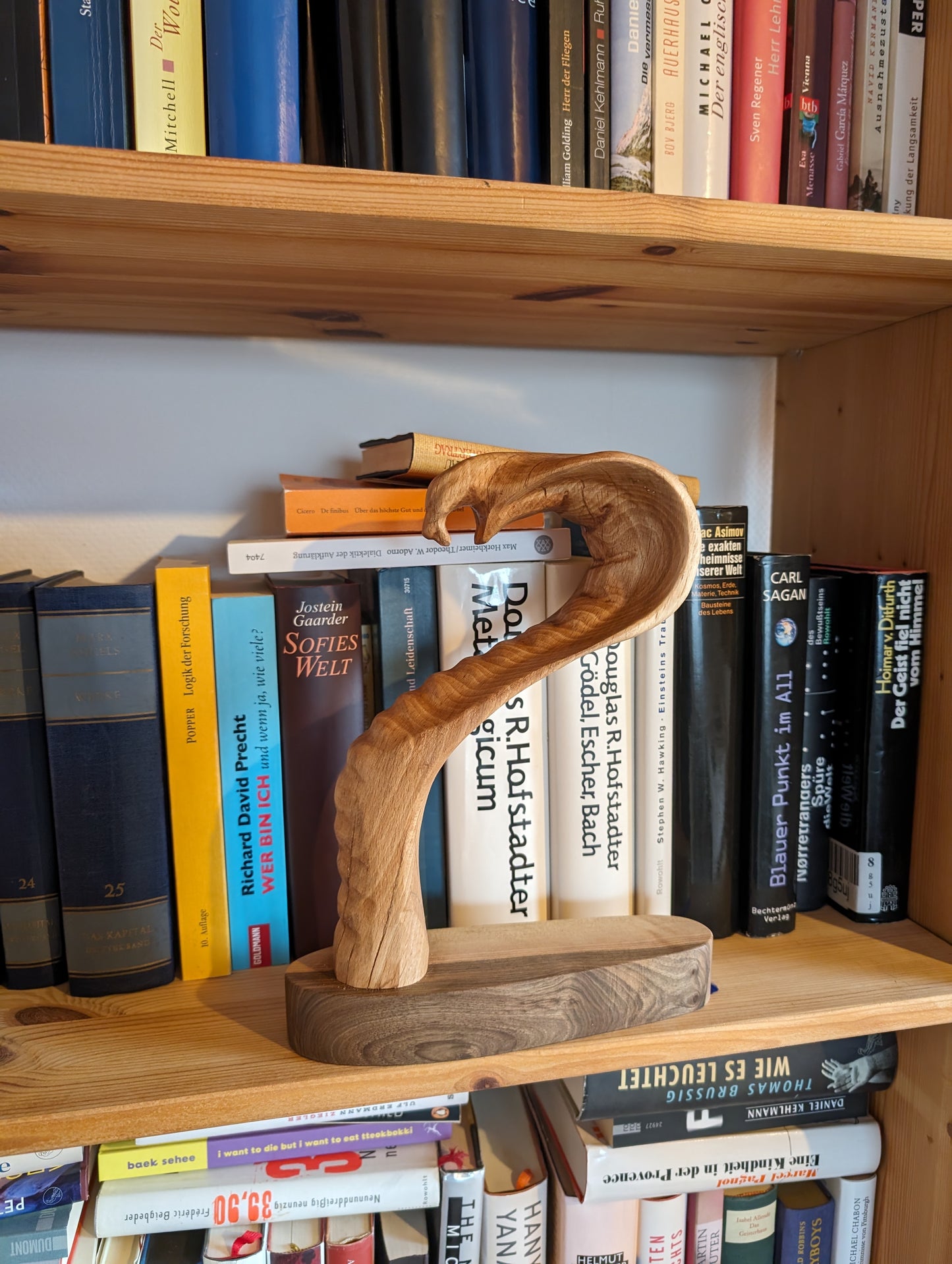 Kobra. Eine abstrakte Figur aus Holz. Holzskulptur,  Skulpturen aus Holz, Wohnzimmer Dekor aus Holz,  Dekoration aus Holz, Holzkunst