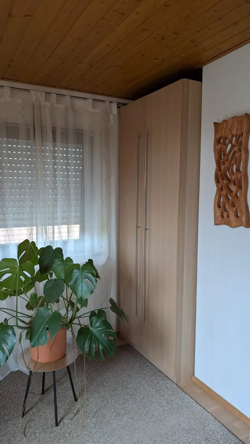 Äste. Abstrakte Wandskulptur aus Buche handgefertigt 