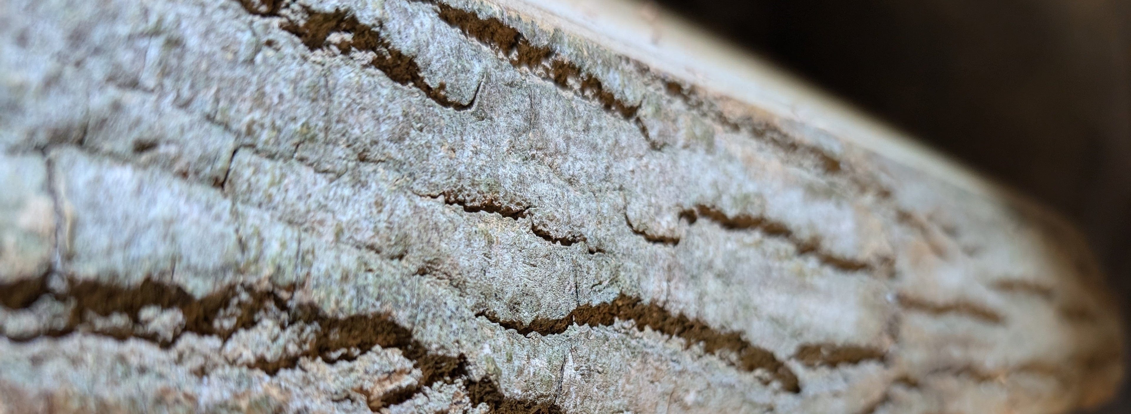 Handgefertigte Holz-Wanddeko abstrakte Kunst für das Wohnzimmer von Stepanow
